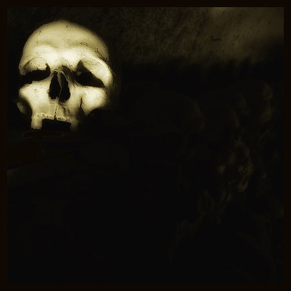 600px-Skull_3,_foto_Augusto_De_Luca